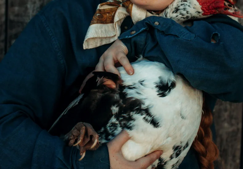 Smiling woman embraces a turkey against a wooden barn backdrop, capturing rural joy.