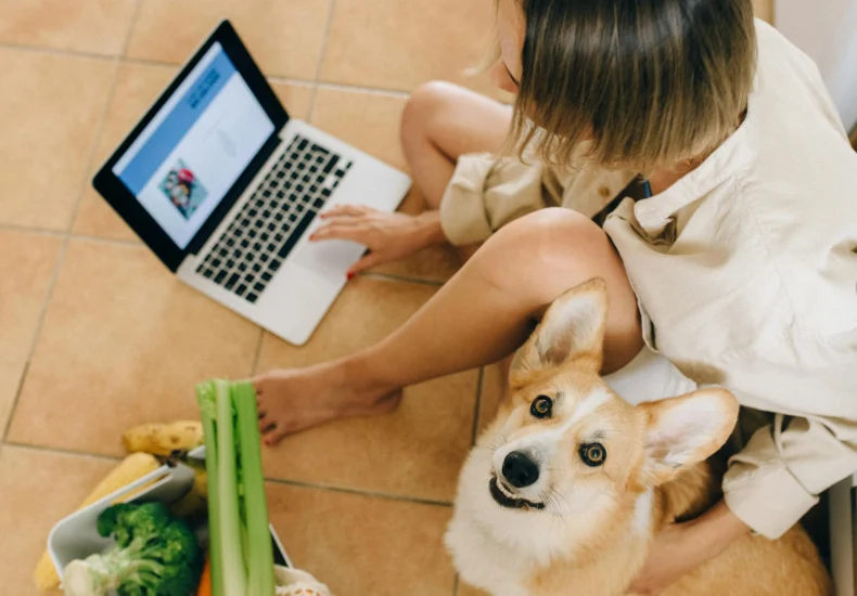 Woman sits with corgi and laptop, surrounded by groceries, browsing online at home.