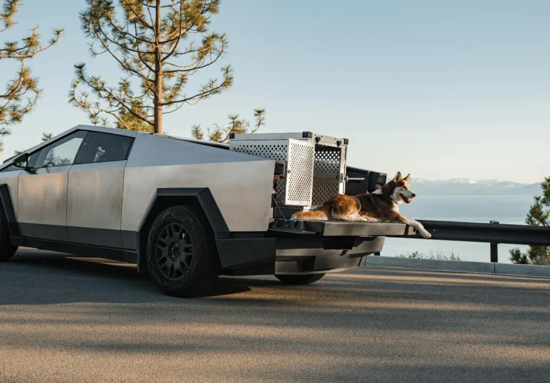 A futuristic truck with a dog in a crate by Lake Tahoe captures modern pet adventures.
