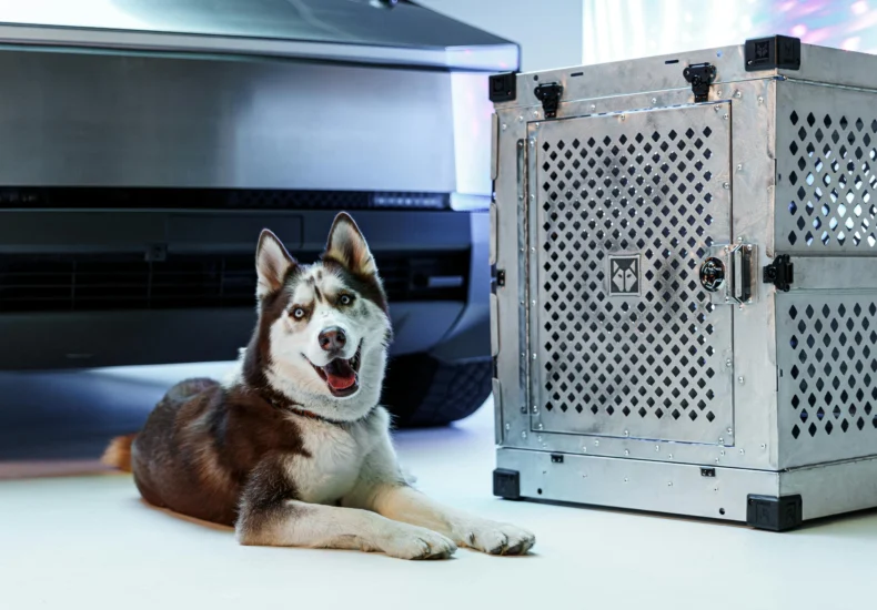 Cyber Monday Special: Impact Dog Crates Tailored for Tesla Cybertruck Adventures with Dogs