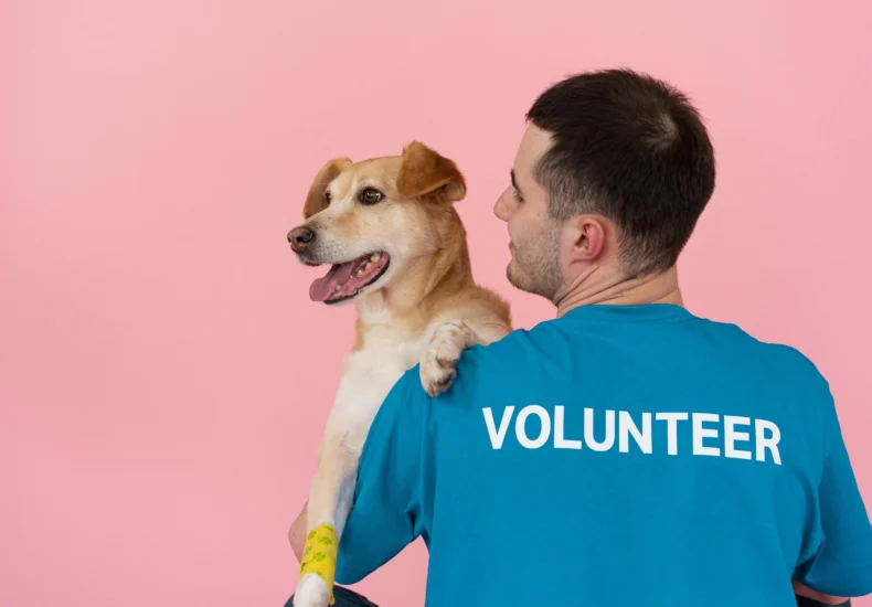 A cheerful volunteer holding a happy dog against a pink background.
