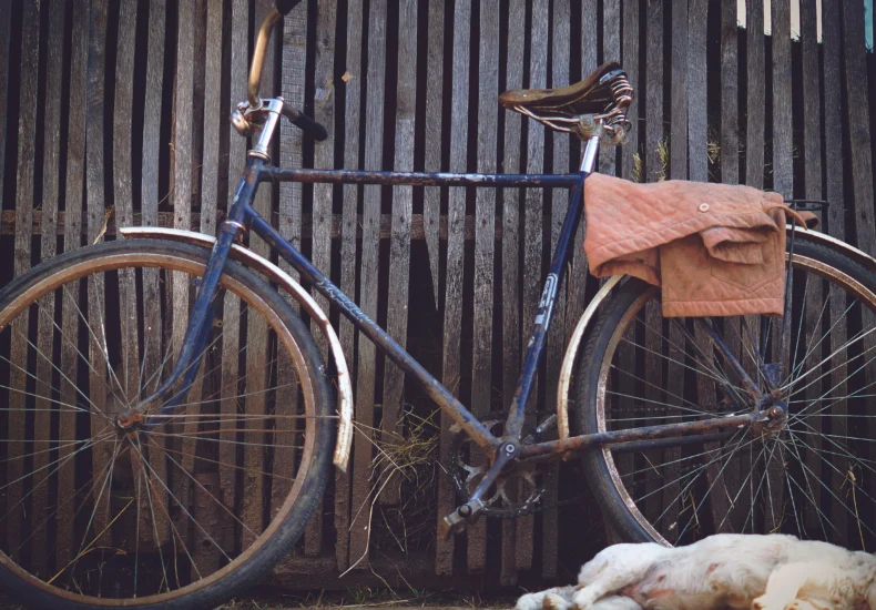 A vintage bicycle resting against a rustic wooden fence with a sleeping dog at its base.