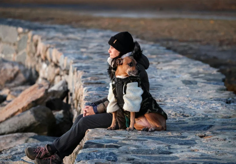 aybreak. 44° F, feels like 29° F with wind gusts up to 37 mph. November 24, 2024. Cove Island Park. Stamford, CT