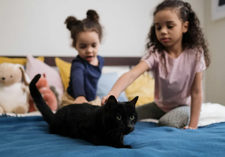 Two children petting a black cat on a bed, surrounded by plush toys in a cozy bedroom.