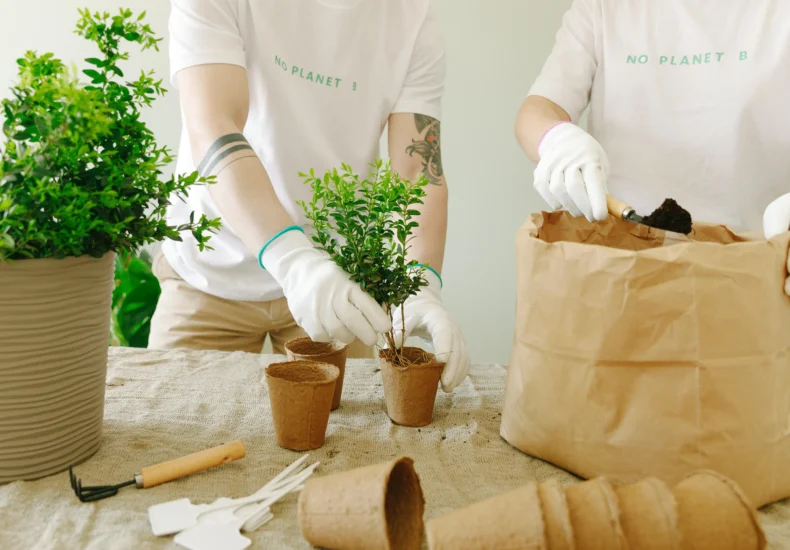 Two people planting small bushes in biodegradable pots indoors, promoting eco-friendly gardening.