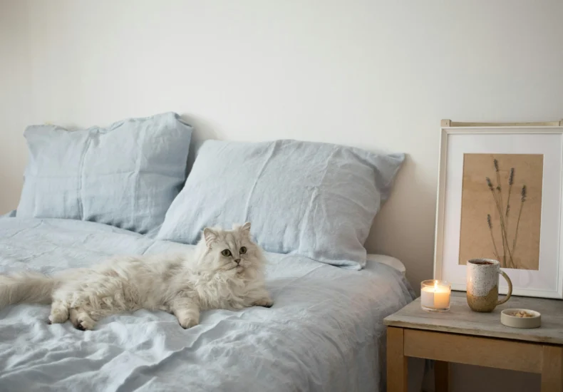 A furry white cat lounging on a cozy bed with soft lighting and candles, creating a peaceful atmosphere.