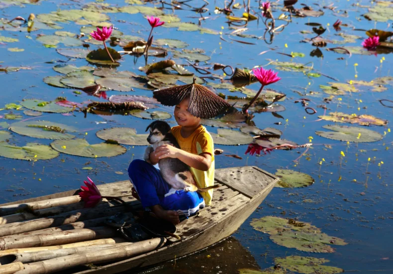Young boy with a dog on a bamboo raft amidst pink lotus flowers in a serene lake.