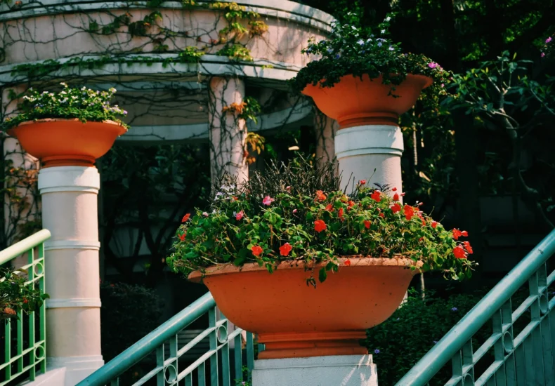 Amazing clay pots with delicate blooming plants and flowers laced on columns near staircase leading to green garden