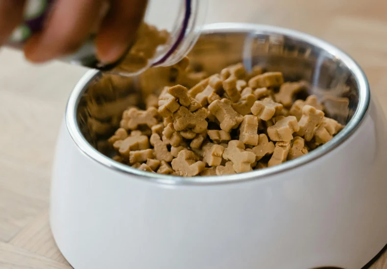 Close-up of hand pouring dog biscuits into a bowl, perfect for pet care themes.