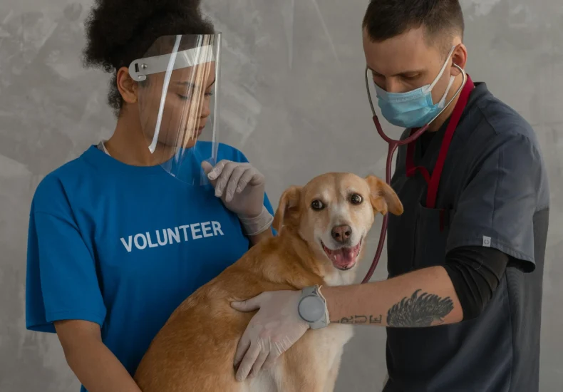 A veterinarian and a volunteer caring for a happy dog in a clinic setting.