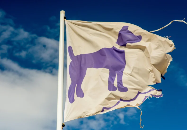 A tattered flag with a purple dog silhouette waves in the wind against a bright blue sky.