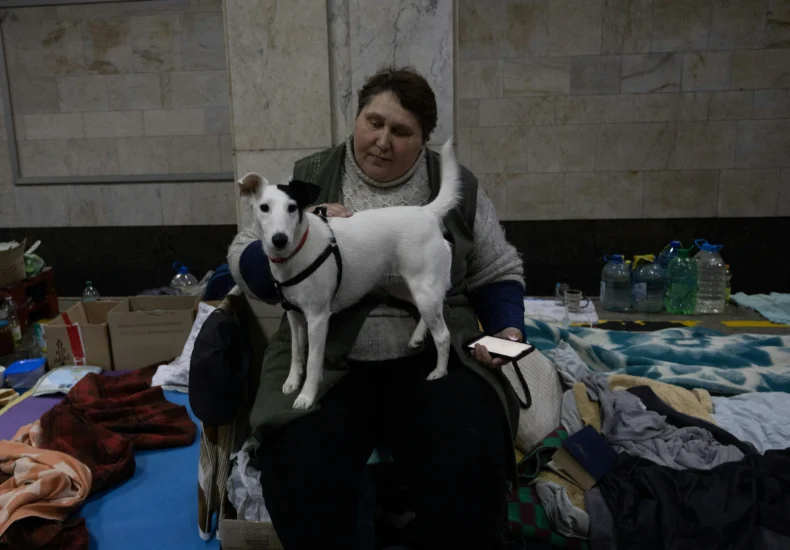 A woman and her dog making a temporary shelter in an urban environment.