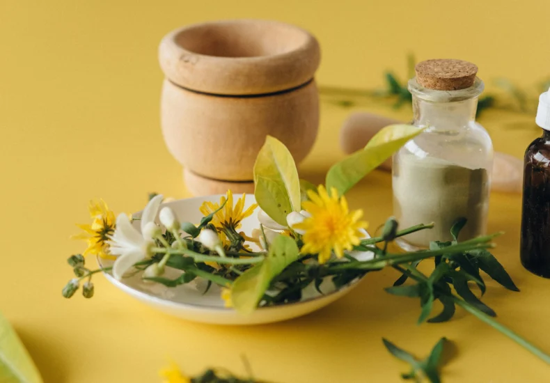 A collection of herbal remedies and natural ingredients on a yellow background, symbolizing holistic health.