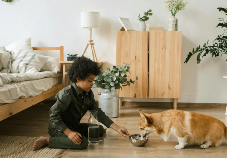 Child feeding a Corgi water in a cozy bedroom with plants and natural decor.